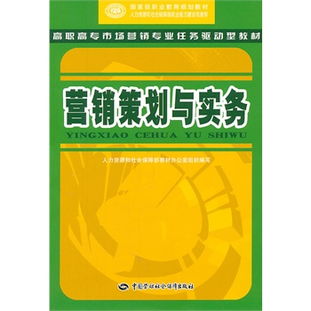 營(yíng)銷(xiāo)策劃與實(shí)務(wù) 構(gòu)建高效市場(chǎng)營(yíng)銷(xiāo)策劃的框架與實(shí)踐